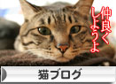 姫様ご乱心&カシオペアの丘で_d0355333_16395937.jpg