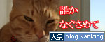 姫様ご乱心&カシオペアの丘で_d0355333_16395977.jpg