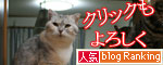 魚を焼いたら猫集合_d0355333_16400956.jpg