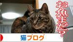魚を焼いたら猫集合_d0355333_16400978.jpg
