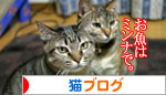 猫の日だから・・・?_d0355333_16401879.jpg
