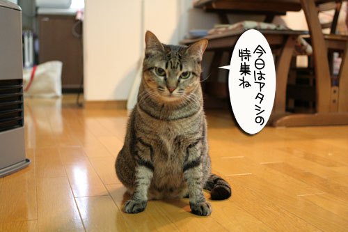 リクエストに答えて★あすかちゃん特集_d0355333_16401948.jpg