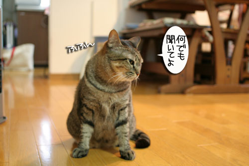 リクエストに答えて★あすかちゃん特集_d0355333_16402043.jpg