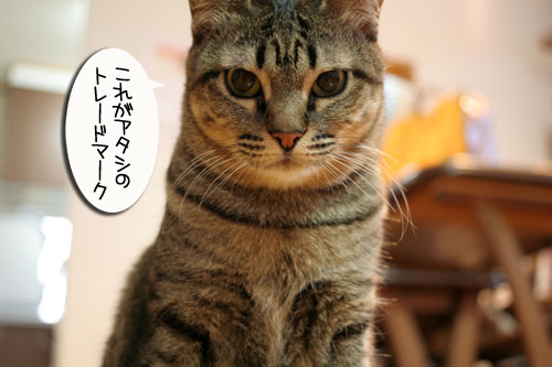 リクエストに答えて★あすかちゃん特集_d0355333_16402130.jpg
