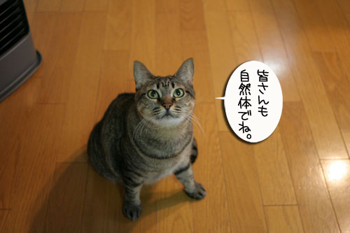 リクエストに答えて★あすかちゃん特集_d0355333_16402238.jpg