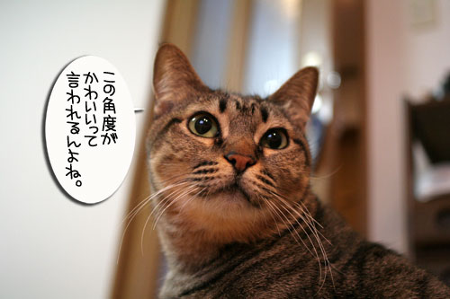 リクエストに答えて★あすかちゃん特集_d0355333_16402257.jpg