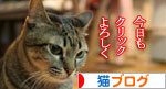 リクエストに答えて★あすかちゃん特集_d0355333_16402332.jpg