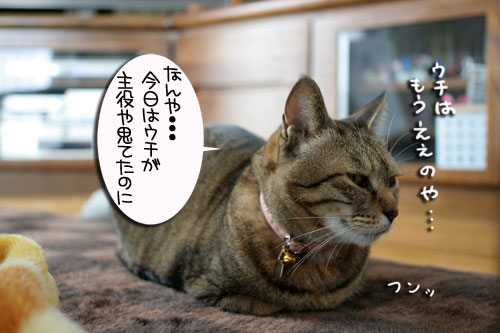 寝子は寝ててもネタになるね?_d0355333_16405644.jpg