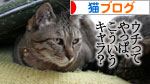 寝子は寝ててもネタになるね?_d0355333_16405779.jpg