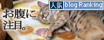 寝子は寝ててもネタになるね?_d0355333_16405800.jpg