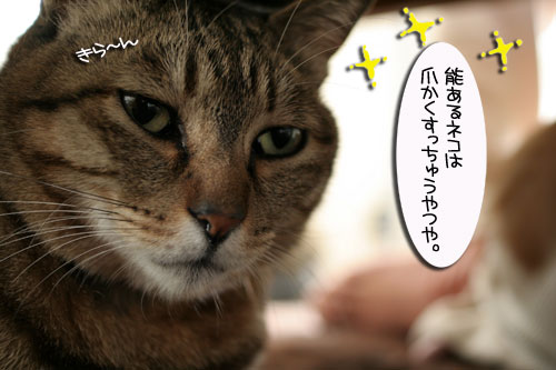 休戦協定締結?_d0355333_16410120.jpg