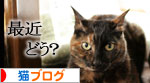 休戦協定締結?_d0355333_16410214.jpg