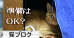 猫マンション(屋上つき)★追記あり_d0355333_16410973.jpg