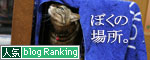猫マンション(屋上つき)★追記あり_d0355333_16411059.jpg