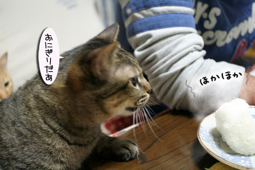 おねだり上手_d0355333_16411230.jpg