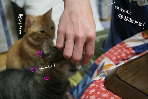 おねだり上手_d0355333_16411361.jpg
