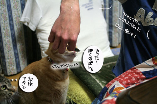 おねだり上手_d0355333_16411372.jpg