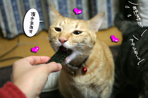 おねだり上手_d0355333_16411416.jpg