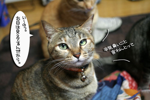 おねだり上手_d0355333_16411562.jpg
