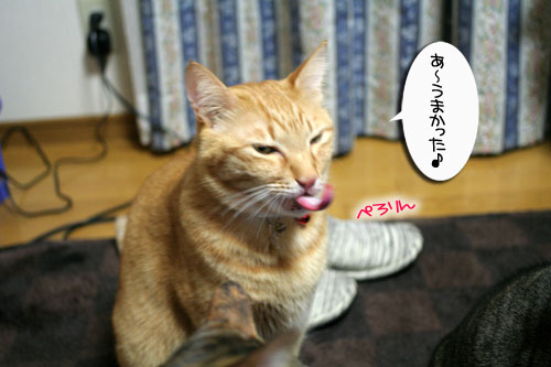 おねだり上手_d0355333_16411633.jpg