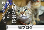 おねだり上手_d0355333_16411758.jpg