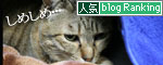 ミニこたつ、その後_d0355333_16412371.jpg