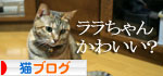 ミニこたつ、その後_d0355333_16412379.jpg