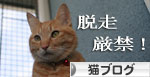 脱走対策ベランダ_d0355333_16413019.jpg