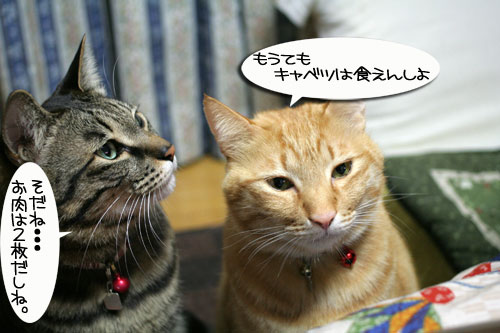 関西名物粉モンパーティ_d0355333_16413588.jpg
