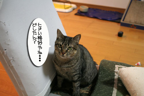 ずぶぬれシューズの理由_d0355333_16413865.jpg