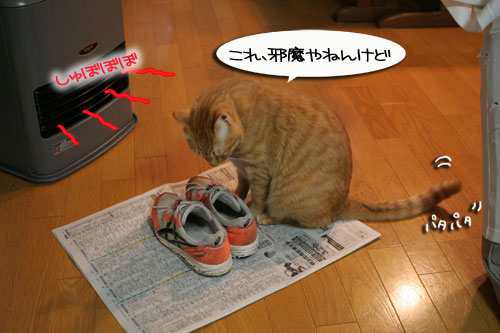 ずぶぬれシューズの理由_d0355333_16413887.jpg