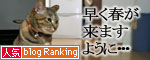 ずぶぬれシューズの理由_d0355333_16413948.jpg