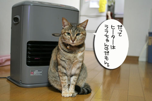 ずぶぬれシューズの理由_d0355333_16414055.jpg