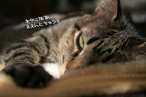 黄砂に吹かれて~_d0355333_16414312.jpg
