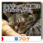 黄砂に吹かれて~_d0355333_16414469.jpg