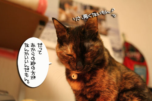 トイレ砂考(久々に_d0355333_16421493.jpg