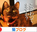 トイレ砂考(久々に_d0355333_16421637.jpg