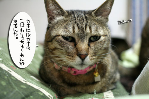 トイレ砂考(久々に_d0355333_16421687.jpg