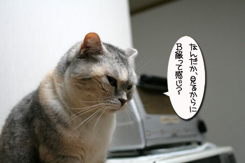 関西B級グルメ★特別編_d0355333_16422165.jpg