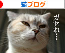 チェーンメールにご注意_d0355333_16422965.jpg