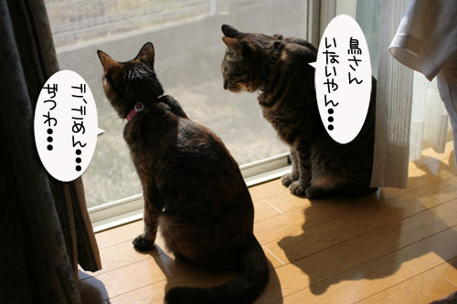 チェーンメールにご注意_d0355333_16422975.jpg