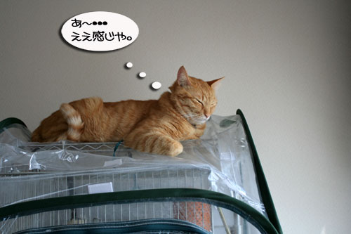 そこは危な~い!_d0355333_16423421.jpg