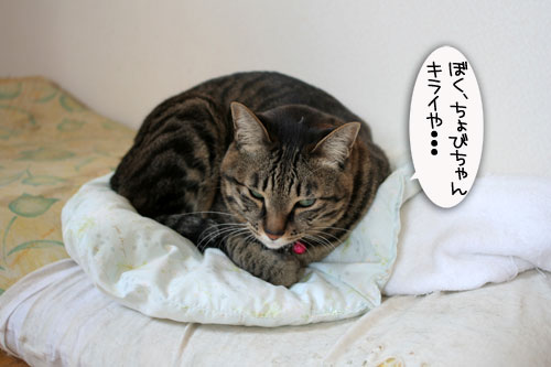 そこは危な~い!_d0355333_16423565.jpg