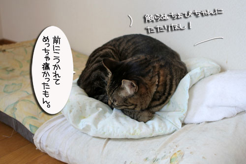 そこは危な~い!_d0355333_16423620.jpg