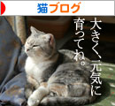 そこは危な~い!_d0355333_16423760.jpg
