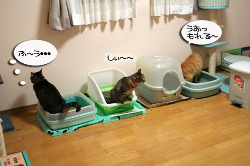つれション・・・いっとく?&写真展のお知らせ>ウチじゃないよ_d0355333_16424379.jpg