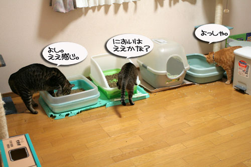 つれション・・・いっとく?&写真展のお知らせ>ウチじゃないよ_d0355333_16424478.jpg
