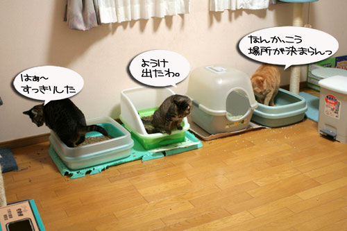 つれション・・・いっとく?&写真展のお知らせ>ウチじゃないよ_d0355333_16424493.jpg