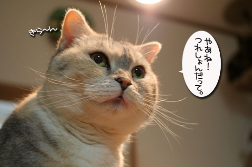 つれション・・・いっとく?&写真展のお知らせ>ウチじゃないよ_d0355333_16424504.jpg
