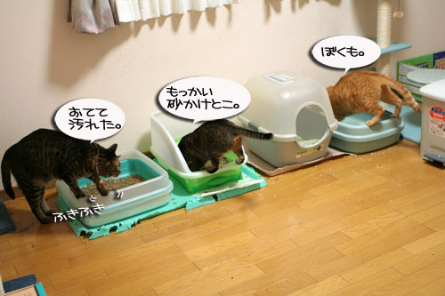 つれション・・・いっとく?&写真展のお知らせ>ウチじゃないよ_d0355333_16424536.jpg